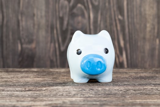 blue pig piggy bank photo