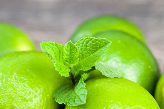 green lime and mint photo