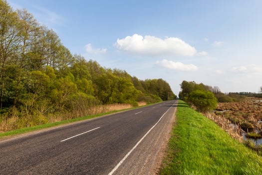 road side, forest and field photo