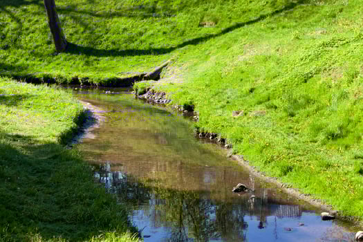 narrow river, close up photo