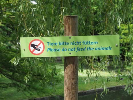 Tiere bitte nicht fuetten transl. Please do not feed the animals photo