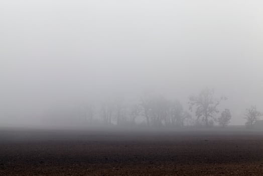 autumn morning, field photo