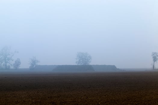 autumn season in the agricultural field photo
