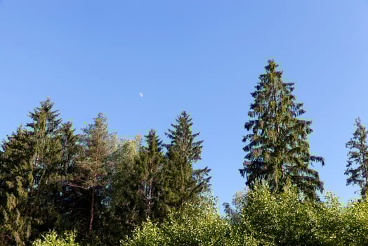 Landscape sky Moon photo