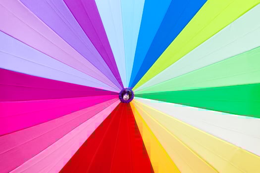 dry colored umbrella photo