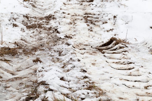 Traces of the car on the snow photo