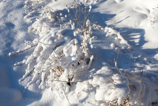 Snow drifts in winter photo