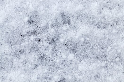 snow covered surface photo
