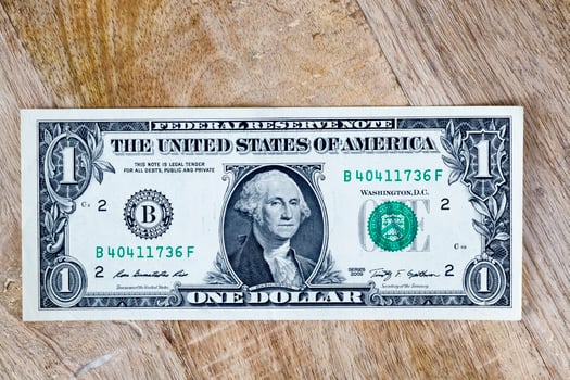 one american dollar photo