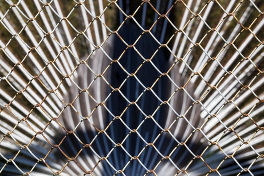 old metal fencing photo