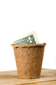 American cash dollars photo