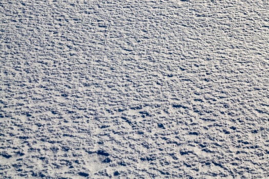 Sunny frosty weather photo