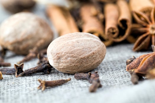 different kinds of spices photo