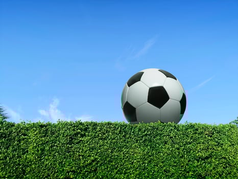 Ball on the fence, Green grass wall texture and bright blue sky photo