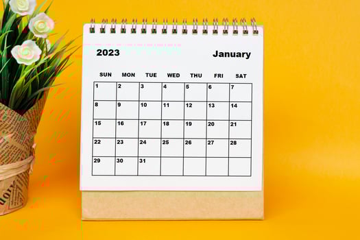 White January 2023 calendar with potted plant on yellow background. photo