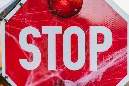School bus with stop sign decorated with cobwebs photo
