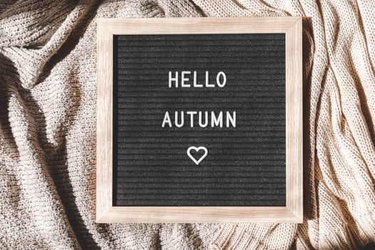 Autumnal Background. Black letter board with text phrase Hello Autumn lying on white knitted sweater. Top view, flat lay. Thanksgiving banner. Hygge mood cold weather concept photo