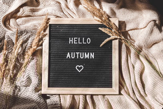 Autumnal Background. Black letter board with text phrase Hello Autumn and dried grass lying on white knitted sweater. Top view, flat lay. Thanksgiving banner. Hygge mood cold weather concept photo