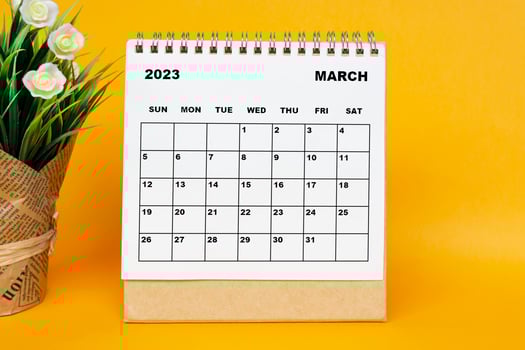 White March 2023 calendar with potted plant on yellow background. photo