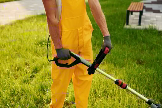 Close up view. Man cut the grass with lawn mover outdoors in the yard photo