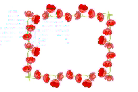 spring flowers tulips photo