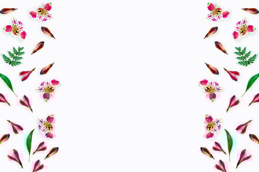 Colorful bright flowers Alstroemeria on a white background. photo
