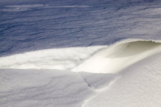 sunlight illuminating snow photo