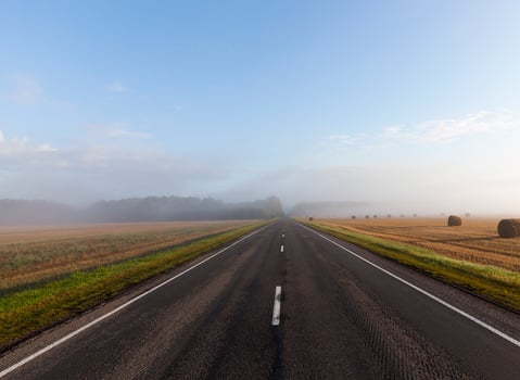 Road to the fog photo