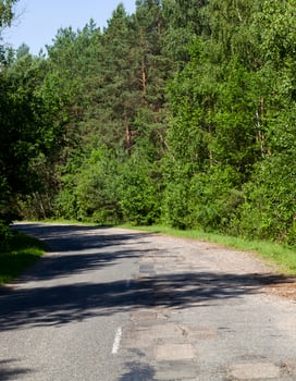 asphalt road, forest photo