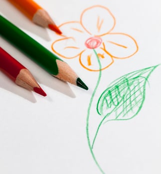flower drawn with pencils photo