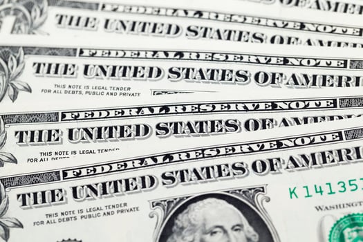 one American dollar photo