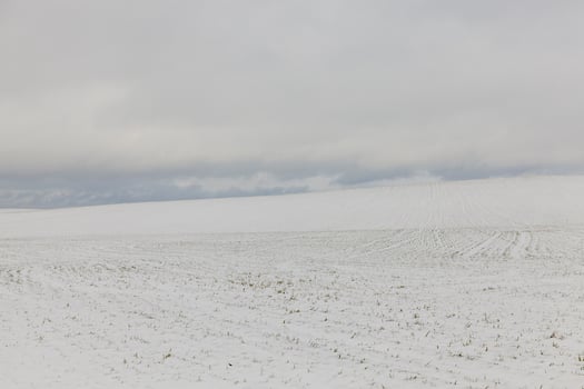 Winter time   snow drifts, which appeared after snowfalls in the winter season. Photo taken close up