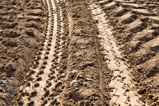 a road paved on the sand photo