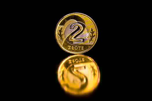 Polish zlotys in the form of metal coins photo