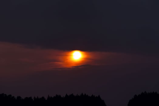 the sun shining in the sky photo