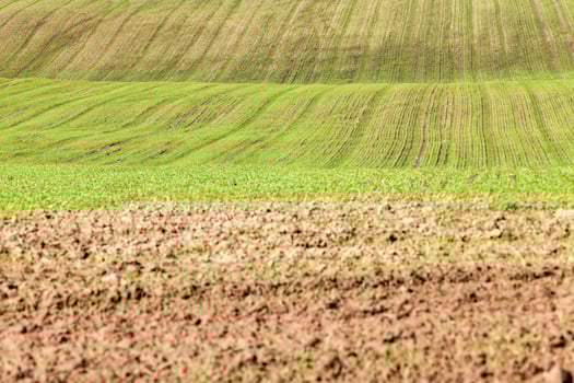agricultural field in Europe photo