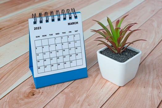 March 2023 desk calendar on top of wooden table with potted plant. photo