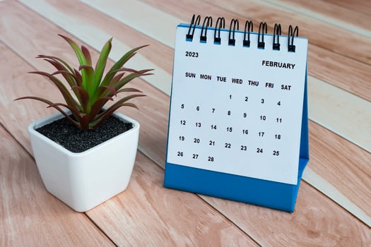 February 2023 desk calendar on top of wooden table with potted plant. photo