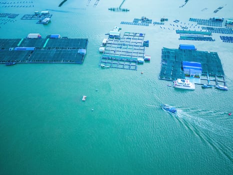 A corner of the oyster feeding farm, float fishing village in Long Son commune, Ba Ria Vung Tau province Vietnam. People living and doing feed fish industry at floating village. photo