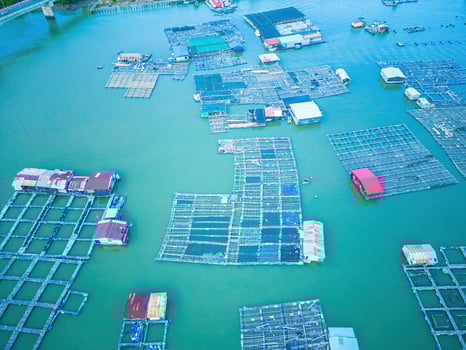 A corner of the oyster feeding farm, float fishing village in Long Son commune, Ba Ria Vung Tau province Vietnam. People living and doing feed fish industry at floating village. photo