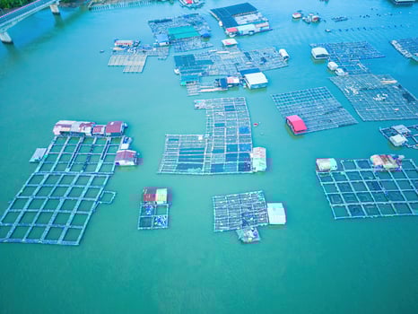 A corner of the oyster feeding farm, float fishing village in Long Son commune, Ba Ria Vung Tau province Vietnam. People living and doing feed fish industry at floating village. photo