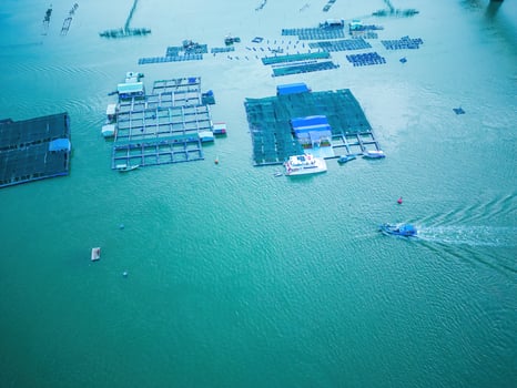 A corner of the oyster feeding farm, float fishing village in Long Son commune, Ba Ria Vung Tau province Vietnam. People living and doing feed fish industry at floating village. photo