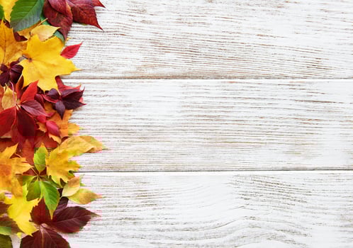 Autumn leaves on wooden background photo