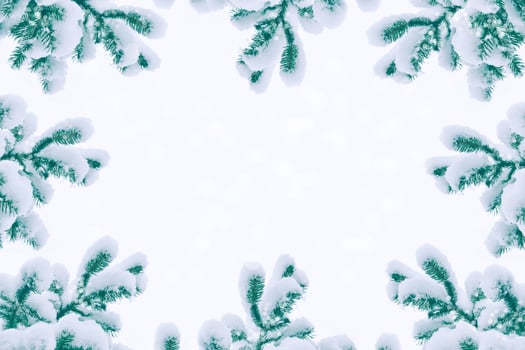 Frozen winter forest with snow covered trees. photo