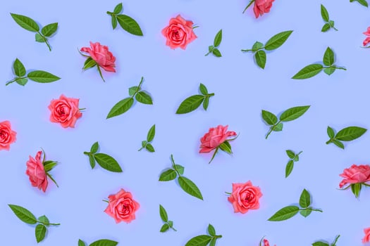Bright colorful flower rose photo