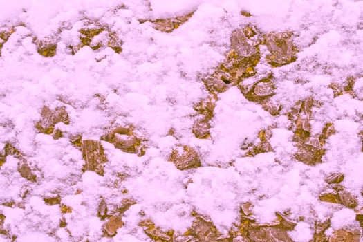 Background. Winter landscape. The texture of the snow photo
