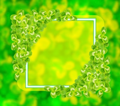 Green clover leaves on a background summer landscape photo