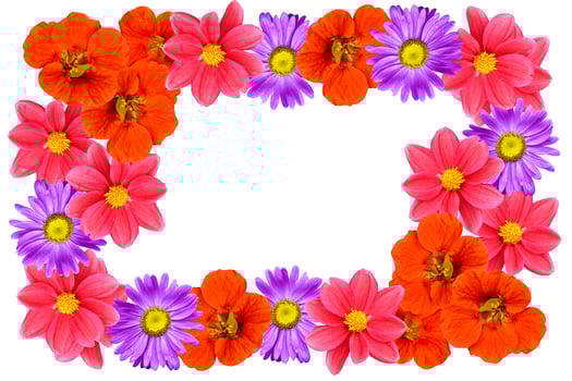 Natural floral background. Bright and colorful autumn flowers. photo