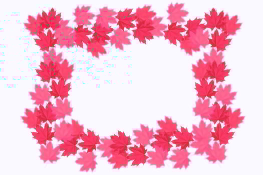 Bright colorful autumn leaves photo