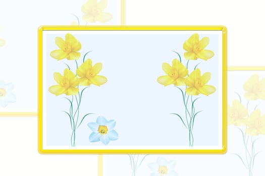 spring flowers narcissus isolated on white background photo